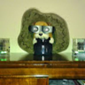 Meet your Posher, Carolyn